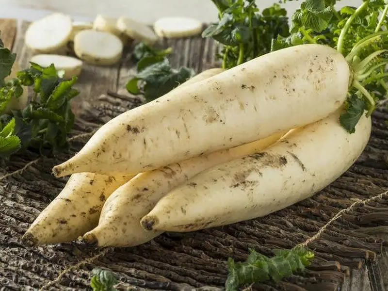 民间巧用萝卜根治偏头痛偏方