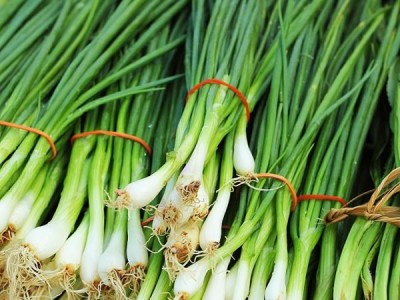 葱的营养价值 生吃葱的好处