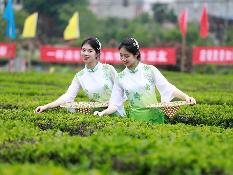 治疗肺结核的偏方10