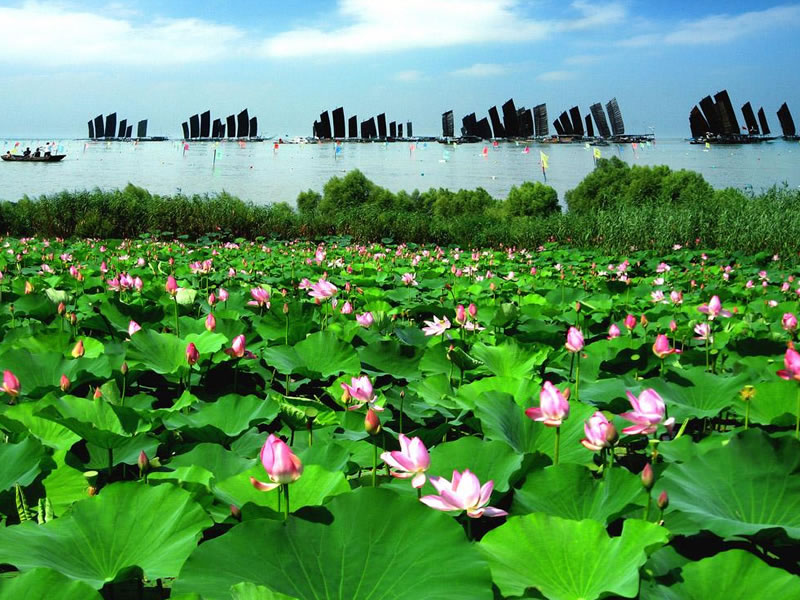 最好的马铃薯减肥小偏方