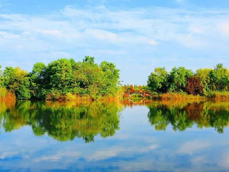 新研究：糖尿病会让女性的更年期提前