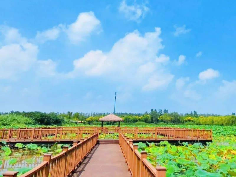 三个中药偏方治疗哮喘有奇效