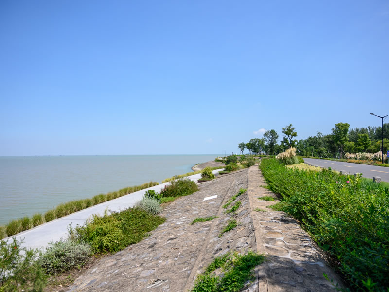 白领养生 这9个误区千万别犯