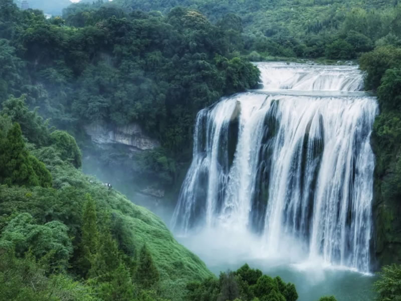 治疗肺结核的偏方（二）