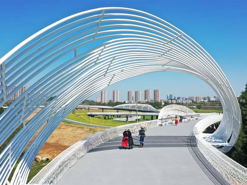 老人养生要预防这“五劳”