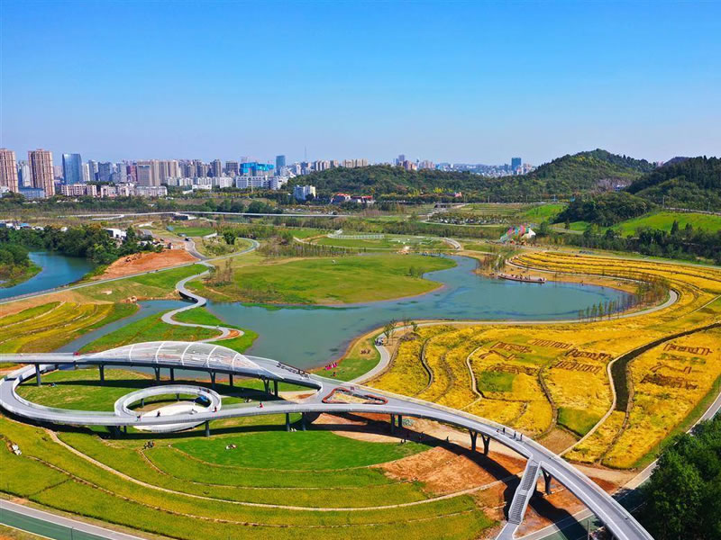 看球吃什么零食 推荐8种健康零食