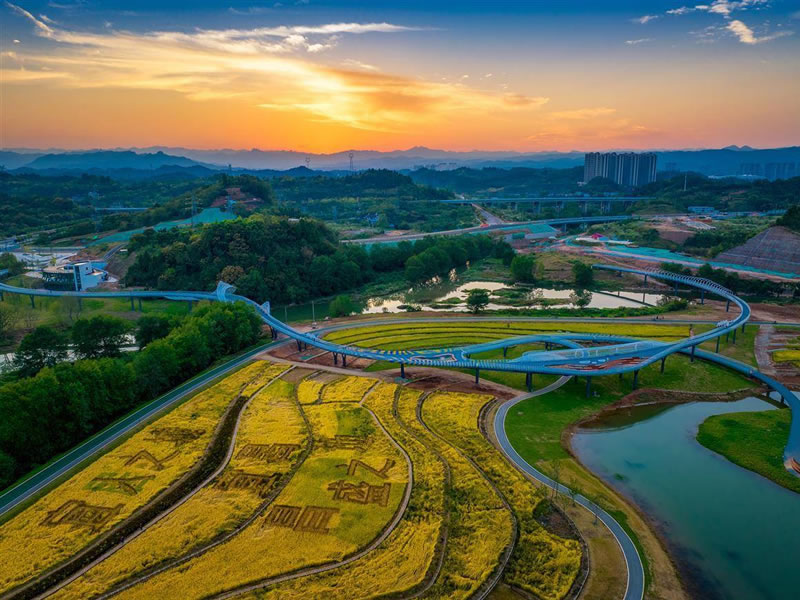 苹果蒸蛋巧治支气管哮喘