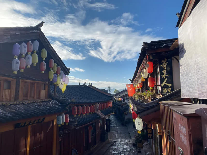 油浸白果治肺结核见效快