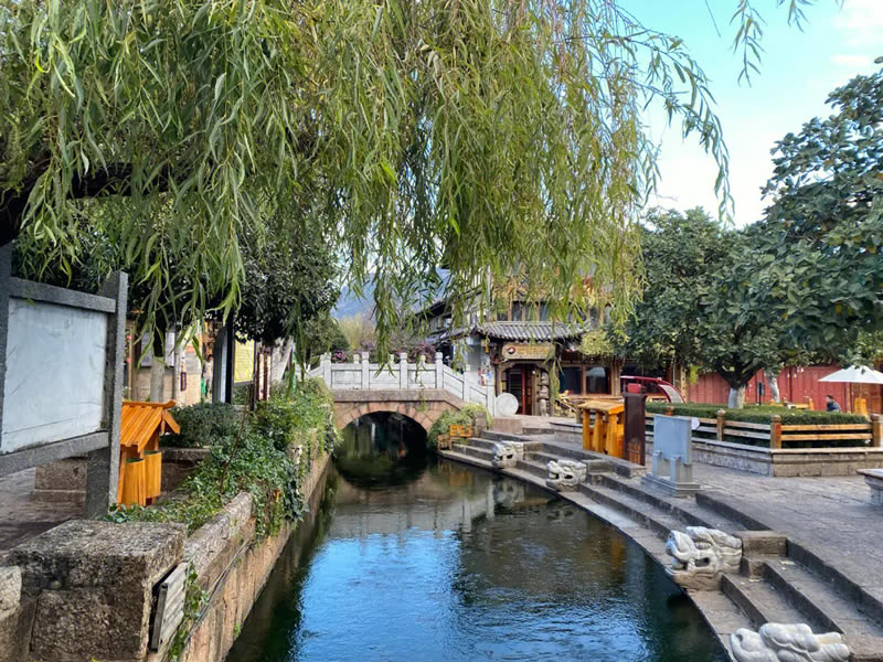 治疗肾气不足中药方子 补肾的中药有哪些