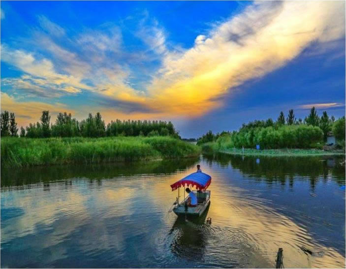 木瓜的功效 如何挑选木瓜