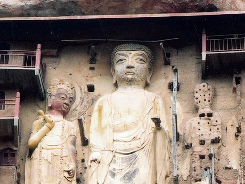 初夏养生吃鱼 草鱼明目鲈鱼补肾