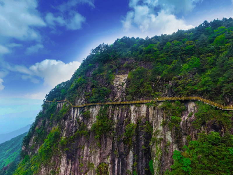 小偏方：芦根汤去口臭