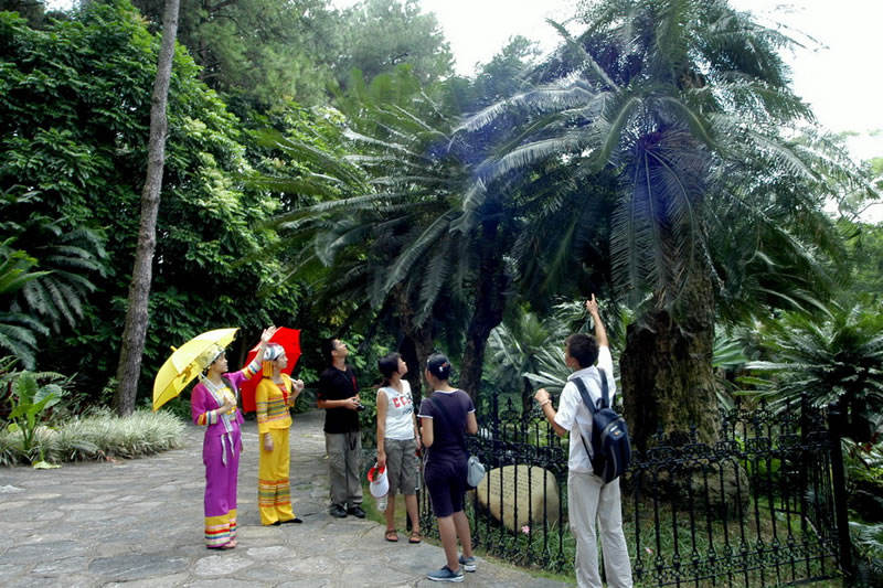 白领如何养胃 注意四个养胃时间点