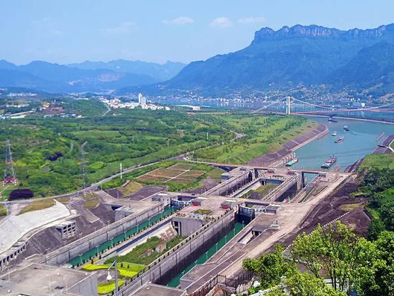 木槿皮泡水喝的禁忌