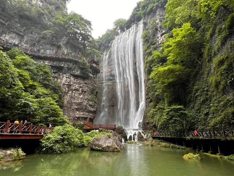 老人记忆力减退怎么办 推荐三种药茶来调养