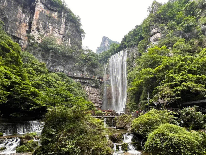 使用玉米须防治肾结石有效偏方