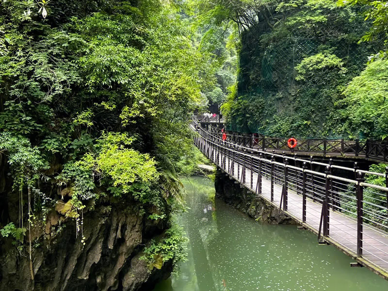 六个有效偏方治疗感冒发烧