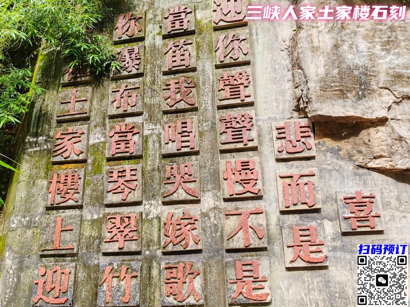 仙鹤草止聋方治链霉素所致耳失聪有好效验