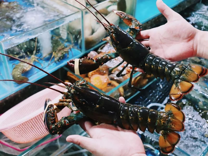 教你轻松避开超市细菌