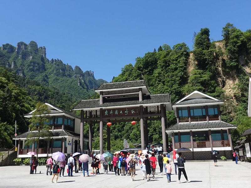 蜂蜜治疗青春痘偏方