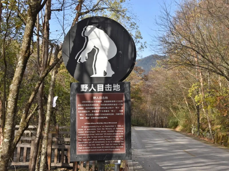 中秋后糖尿病人扎堆就诊 吃月饼需谨慎