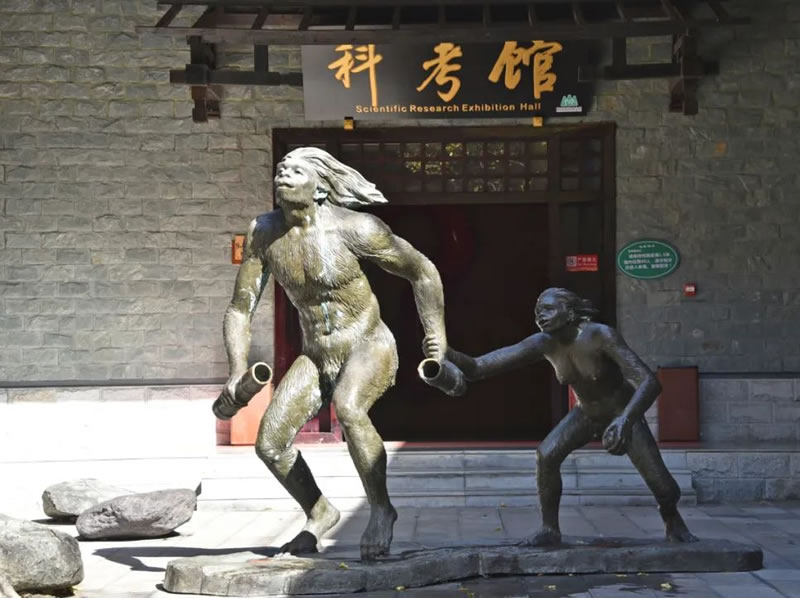 肺康保治肺结核54例全部有效