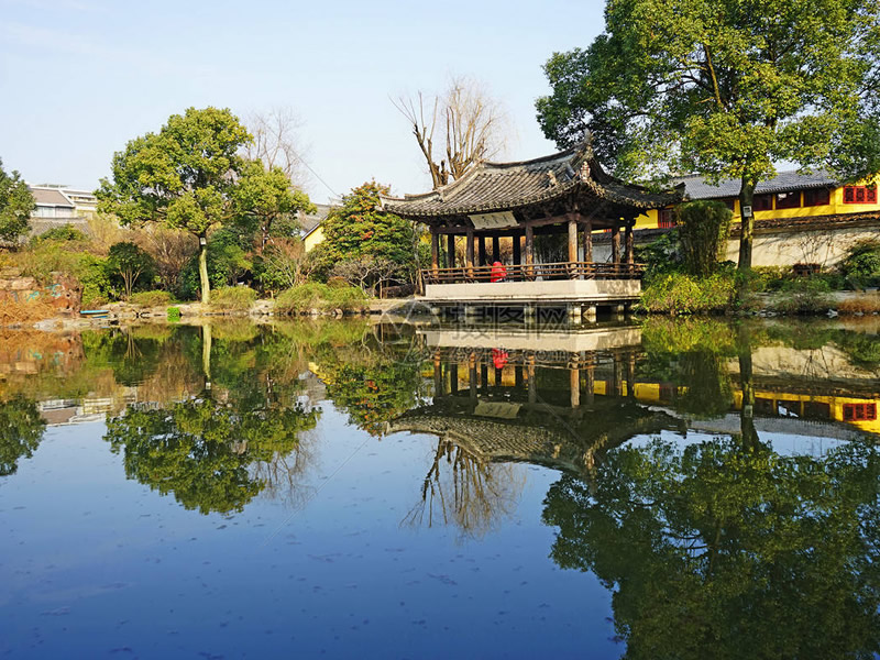 五味子泡鸡蛋治疗支气管炎