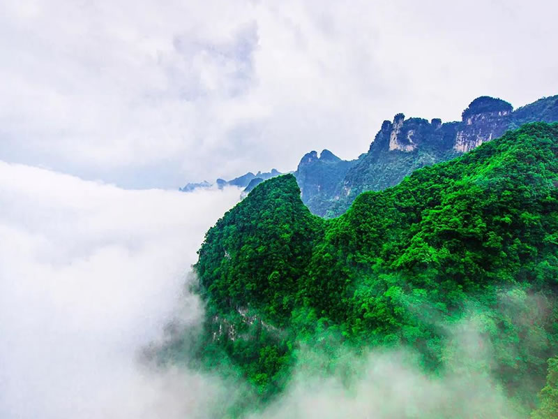 苦瓜泡水喝的禁忌
