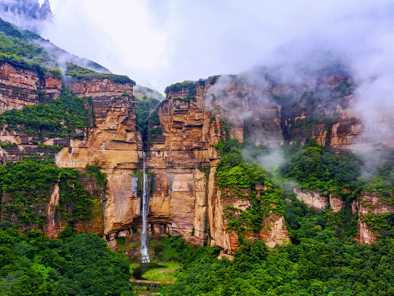 微波炉烤苹果可治便秘