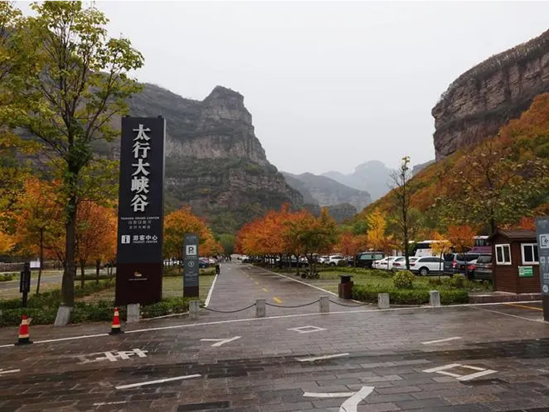 饮食如何养生：五类难吃食物却能延寿