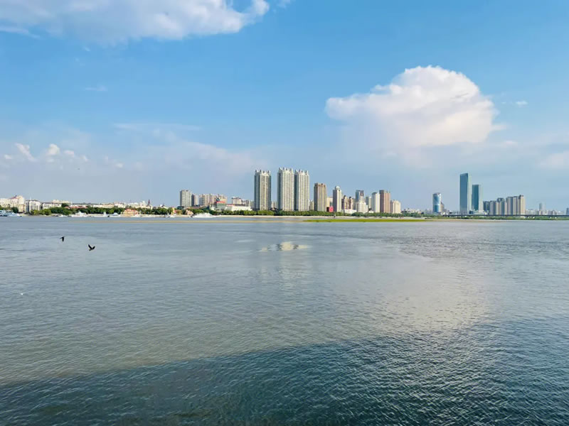 炒菜需要放味精吗 这几种情况最好别放