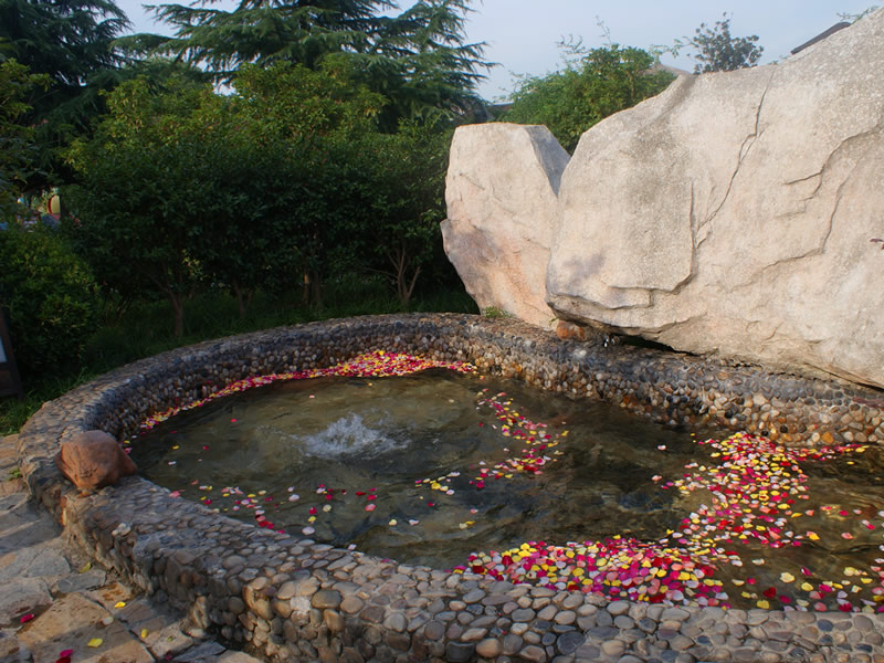 胃癌常用的有效的偏方(3)