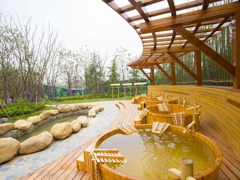 食用苹果时应该注意的搭配禁忌及小偏方