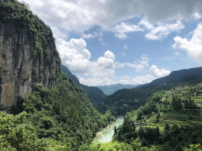 虾皮补钙效果好 盘点虾皮的功效与作用