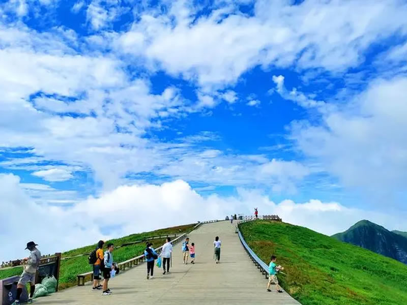 治疗肺结核的偏方21