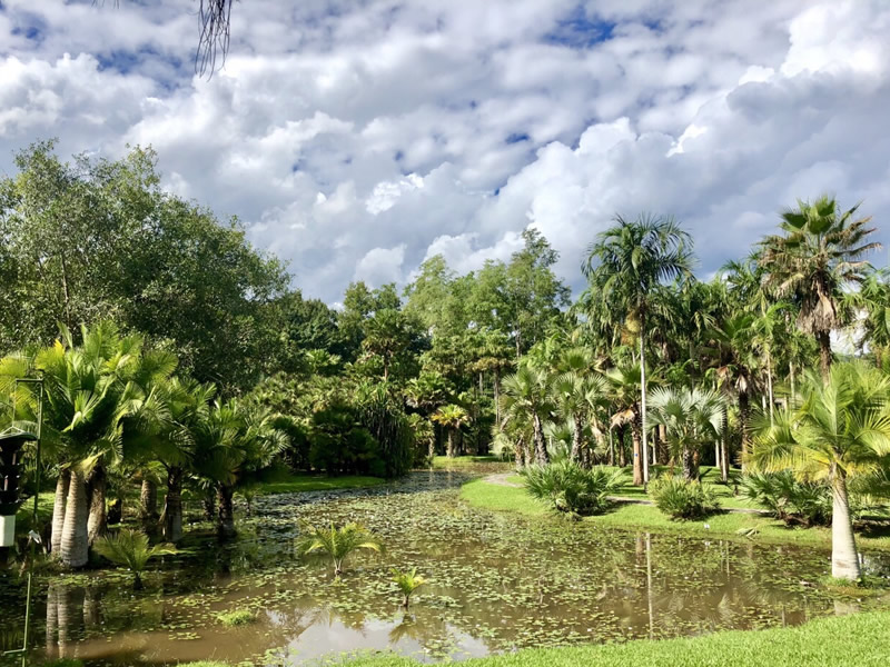 上班族如何养生 上班族必知的养生法