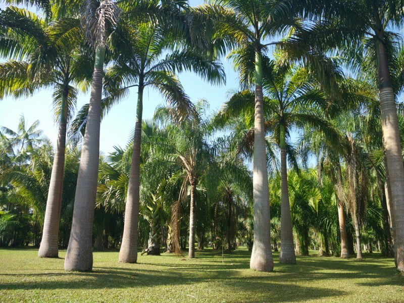 手脚冰凉的人容易患上癌症？