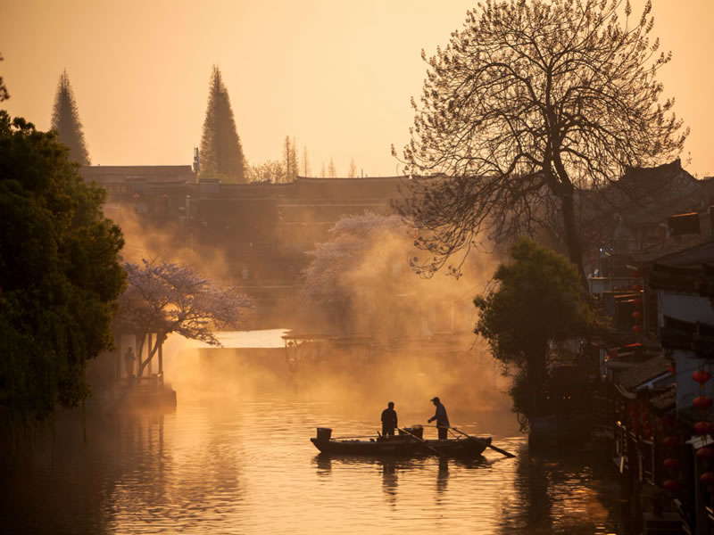 养胃中药对症选用