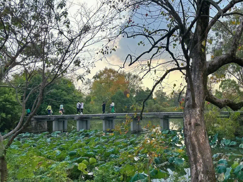 宝宝奶癣反复发作 从四个方面入手