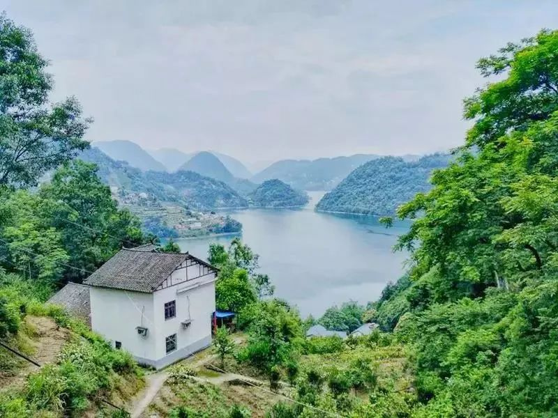 专家解答如何避免血糖上蹿下跳