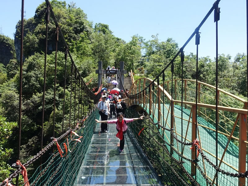 食道癌中草药偏方