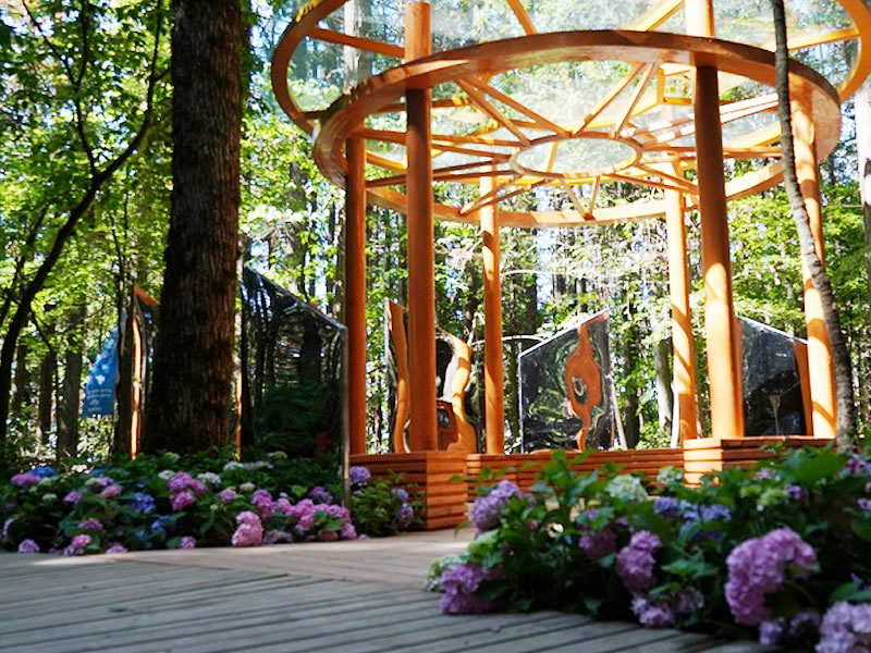 新研究表明：少吃主食伤心脑