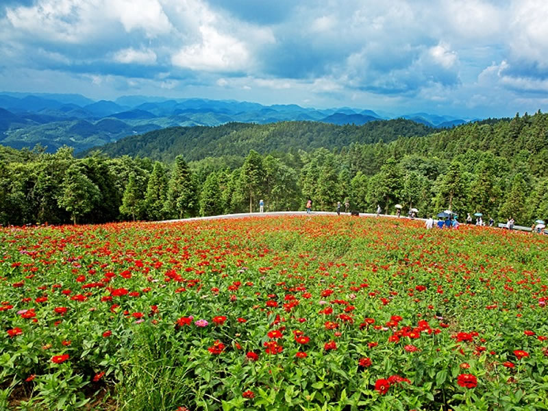 夏季开胃菜 9款开胃菜让孕妇食欲大开
