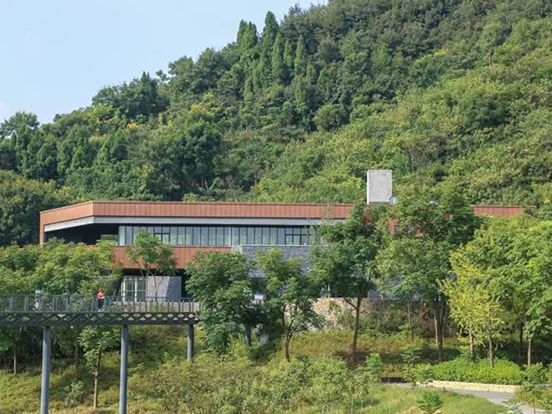 数九天冻伤如何处理 支招解决方法