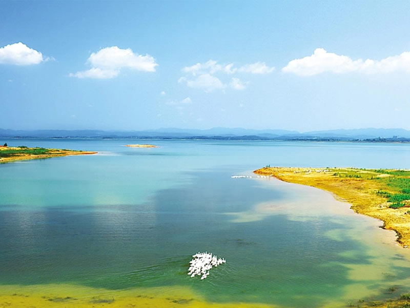 治疗顽固便秘有效偏方