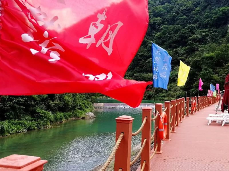 喝醋蛋液可治好消化不良病