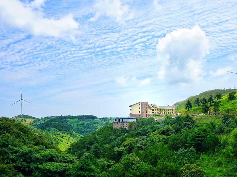 三个民间偏方治疗慢性胆囊炎有奇效