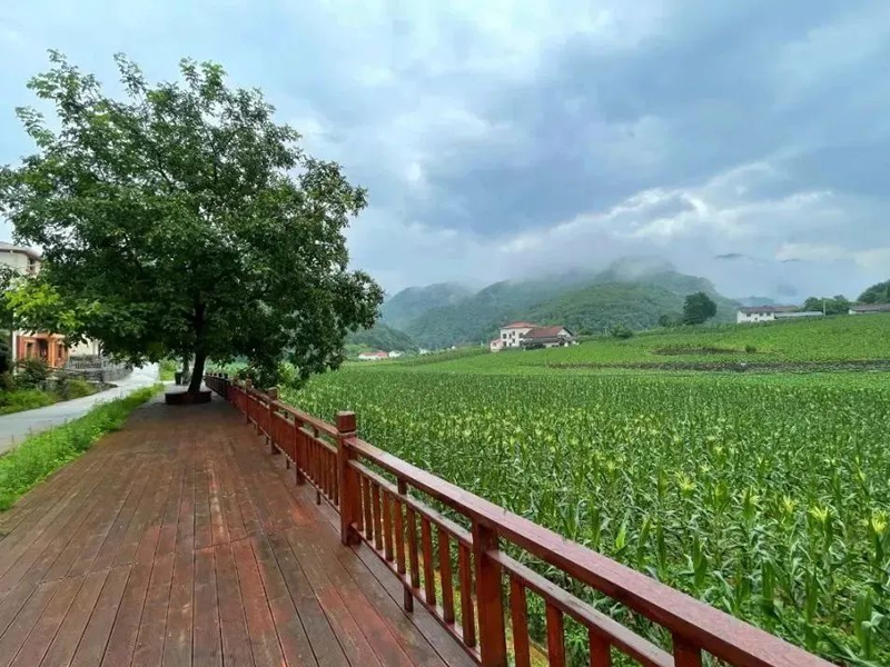 孕妇怎么补气血 推荐5款食疗方