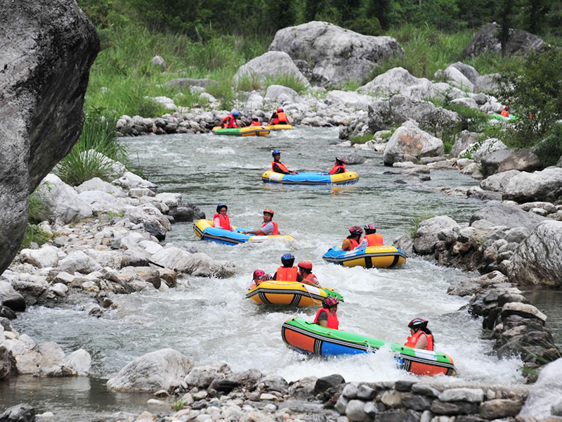 吃桂圆的好处有哪些 这些养生功效怎可错过