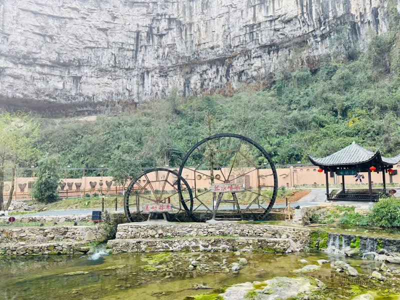 办公一族用眼过度怎么办 喝什么能缓解